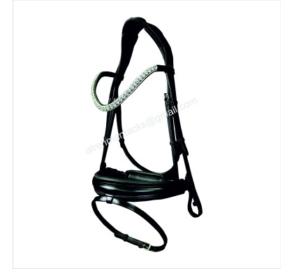 Leather Bridle 